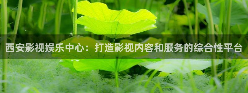 西瓜视频入口：西安影视娱乐中心：打造影视内容和服务的综合性平台