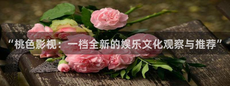 乔家的儿女在线观看免费完整版西瓜：“桃色影视：一档全新的娱乐文化观察与推荐”