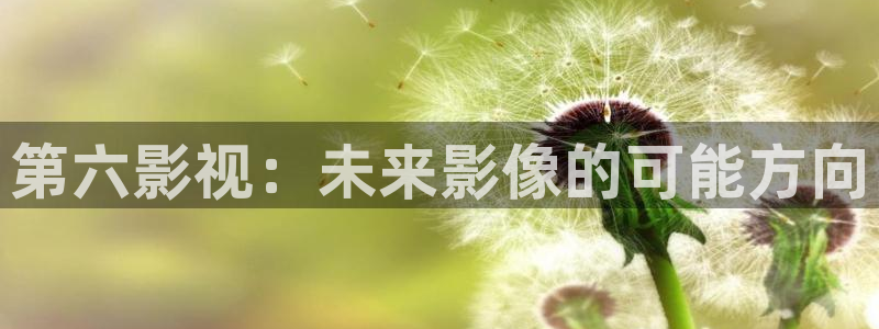南风知我意免费观看西瓜：第六影视：未来影像的可能方向