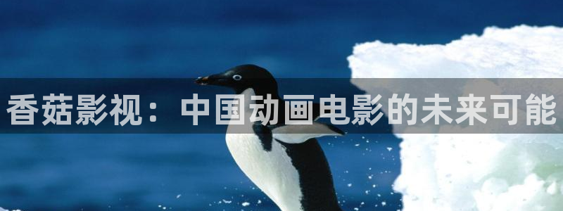 北方往事免费观看西瓜：香菇影视：中国动画电影的未来可能