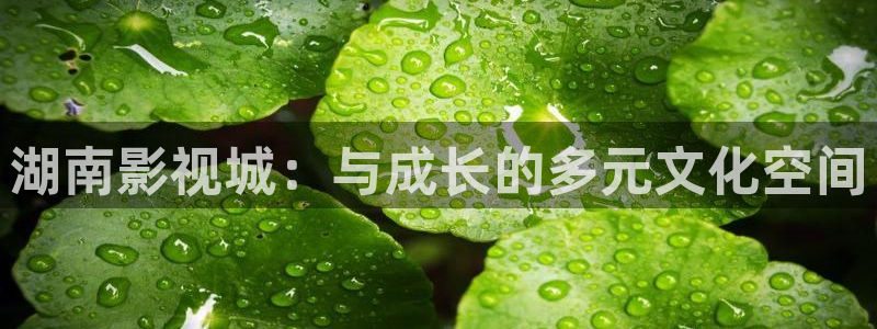 奥利西瓜片：湖南影视城：与成长的多元文化空间