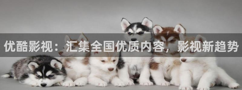 如懿传在线观看免费观看完整西瓜：优酷影视：汇集全国优质内容，影视新趋势